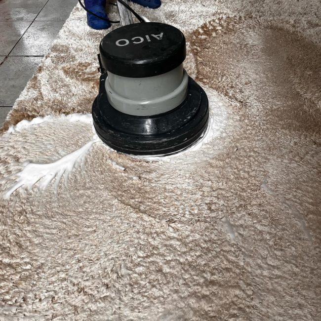 carpet cleaning services